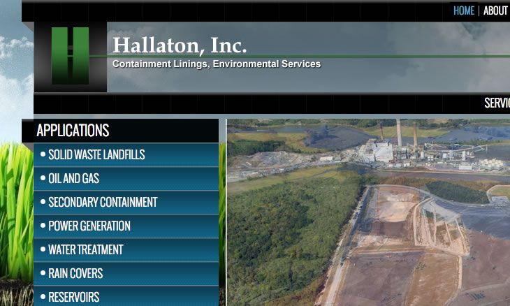 Hallaton web design