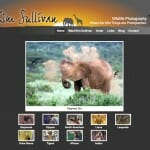 Kim Sullivan - Photographer