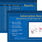 suboccipital-muscles
